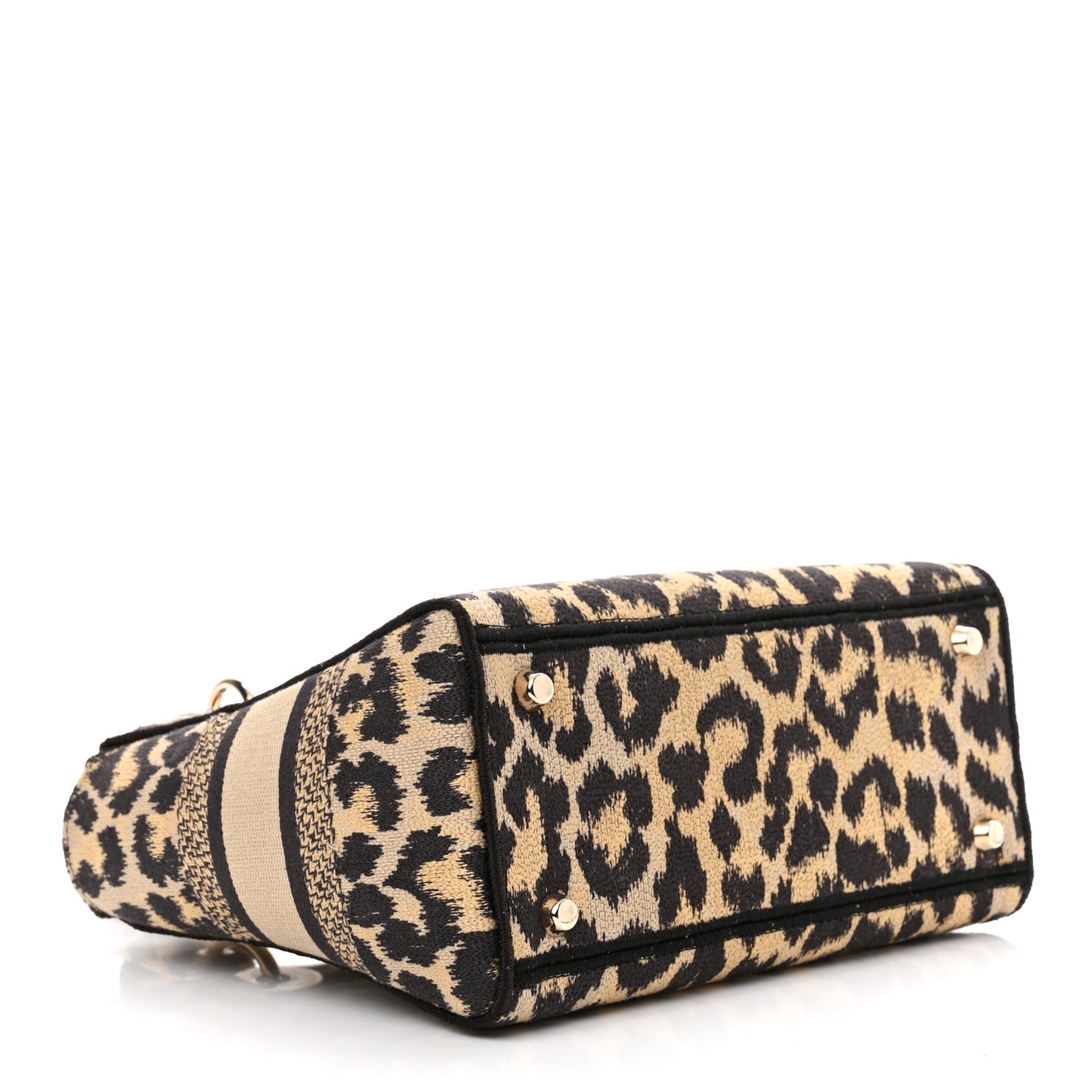 Canvas Medium Mizza Embroidered Lady D-Lite Beige Multicolor