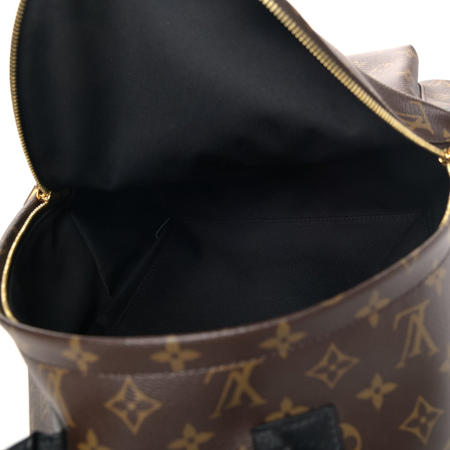 Monogram Palm Springs Backpack MM
