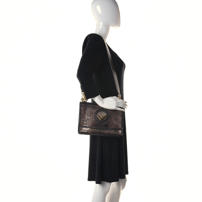 Fendi Mesh Vitello Century F is Fendi FF 1974 Kan I Shoulder Bag Marrone Black Ebano 2 of 15