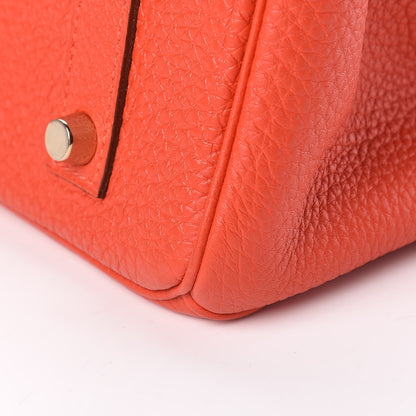 Hermes Togo Birkin 35 Capucine 37 of 37