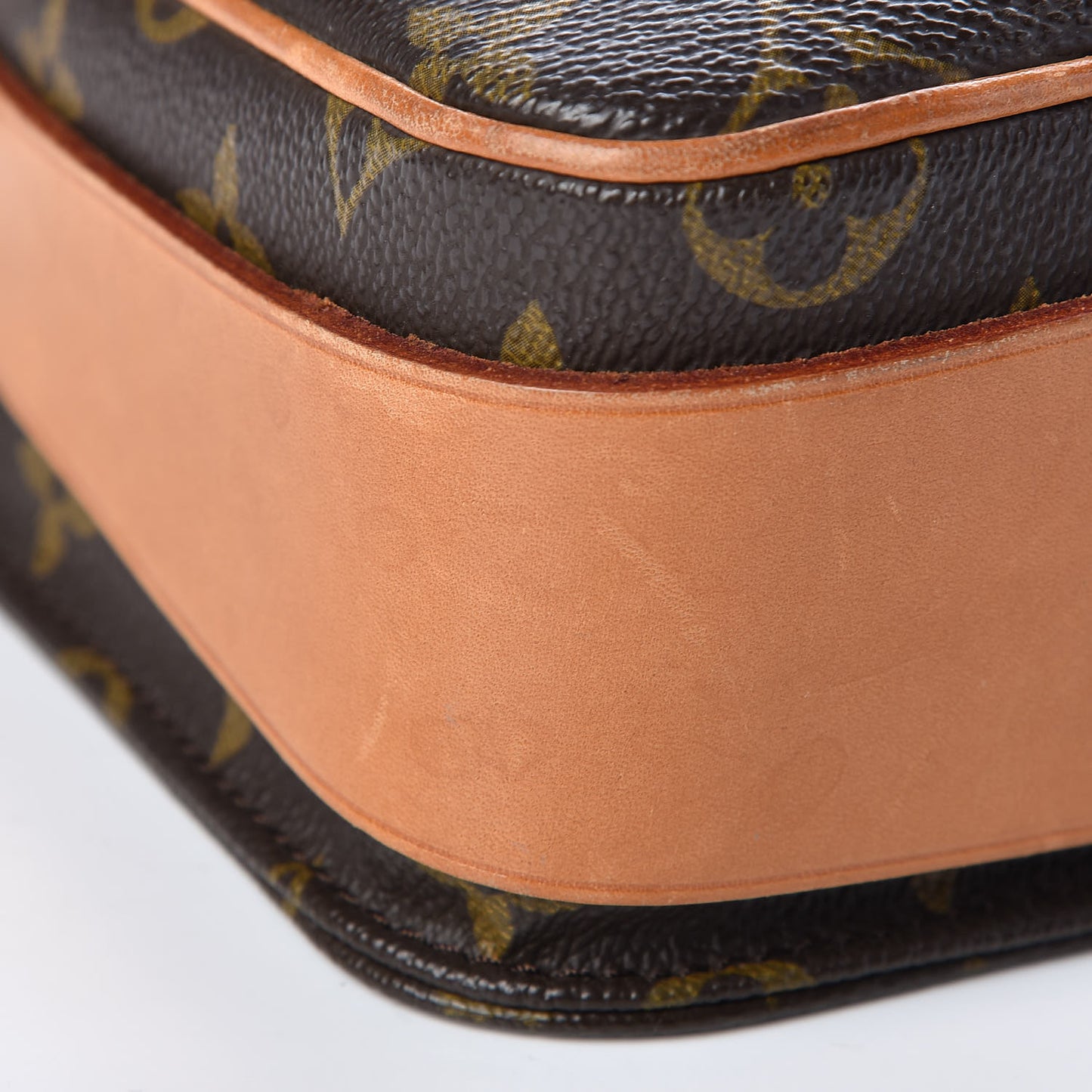 Monogram Cartouchiere 22