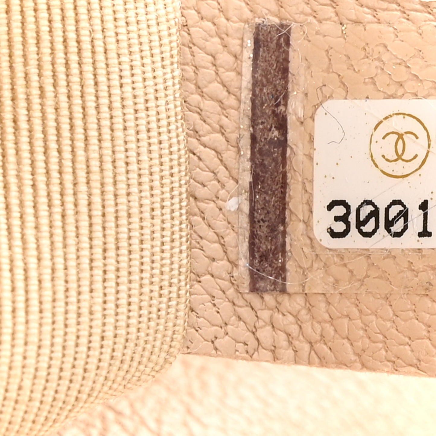 Lambskin Quilted Medium Chanel 19 Flap Beige