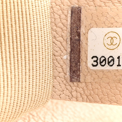 Chanel Lambskin Quilted Medium Chanel 19 Flap Beige 7 of 11