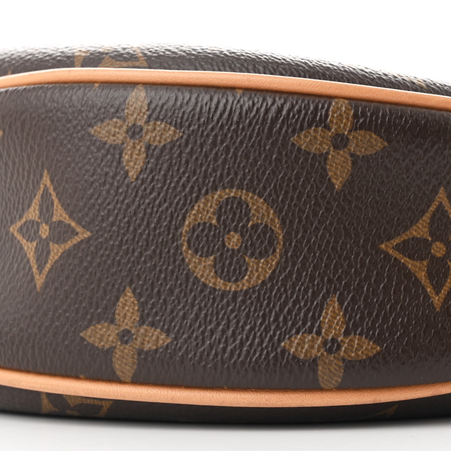 Louis Vuitton Monogram Loop 9 of 11