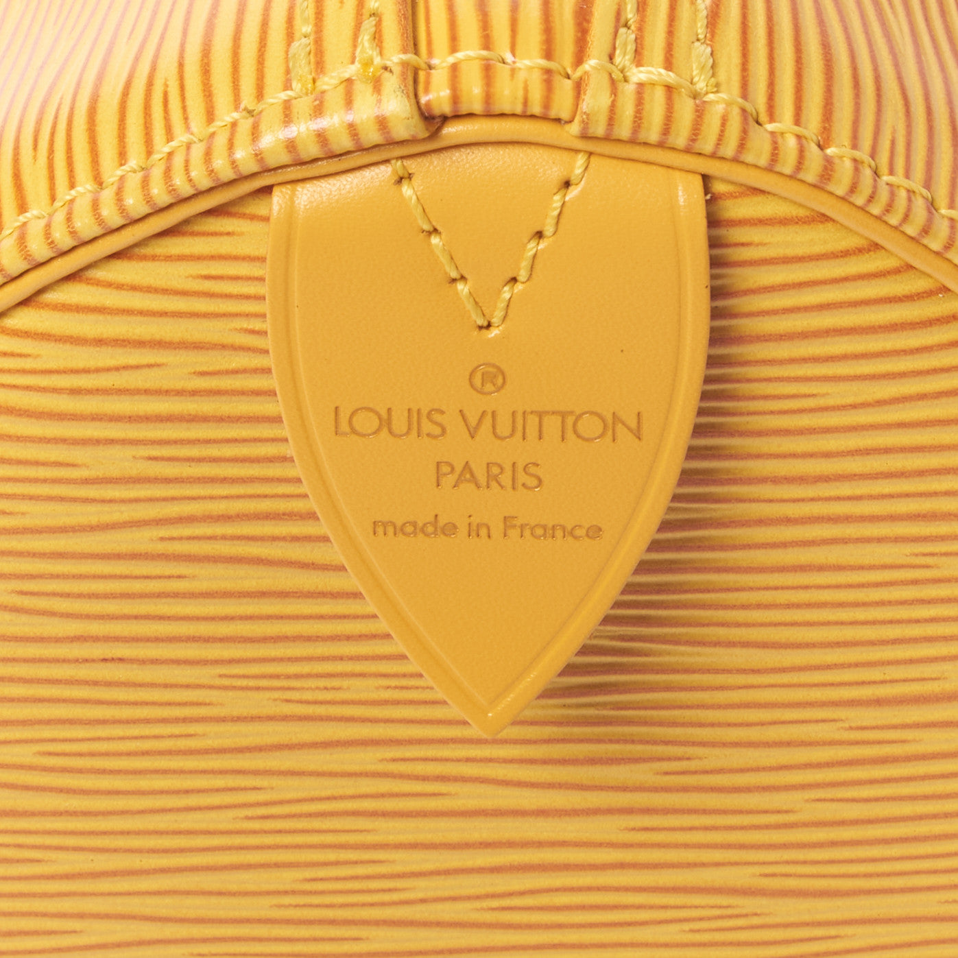 Louis Vuitton Epi Speedy 25 Tassil 7 of 8