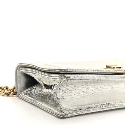 Christian Dior Metallic Ceramic Effect Deerskin Medium Diorama Flap Bag Silver 9 of 14