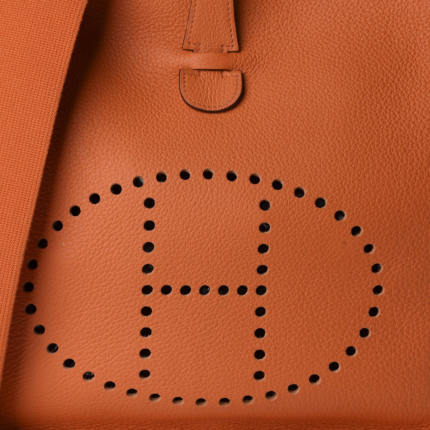 Taurillon Clemence Evelyne III GM Orange