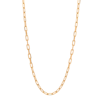 Cartier 18K Yellow Gold SM Santos De Cartier Link Necklace 22" 1 of 5
