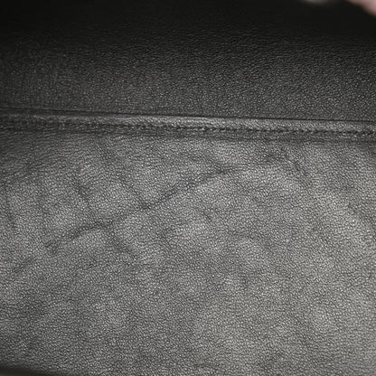 Celine Palmelato Calfskin Mini Belt Bag Espresso 11 of 14