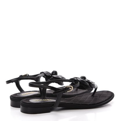 Chanel Lambskin Camellia Thong Sandals 38.5 Black 4 of 18