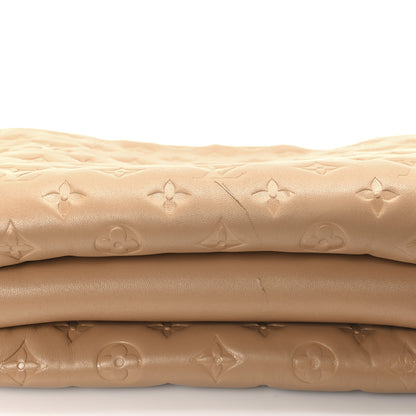 Louis Vuitton Lambskin Embossed Monogram Coussin MM Taupe 11 of 11