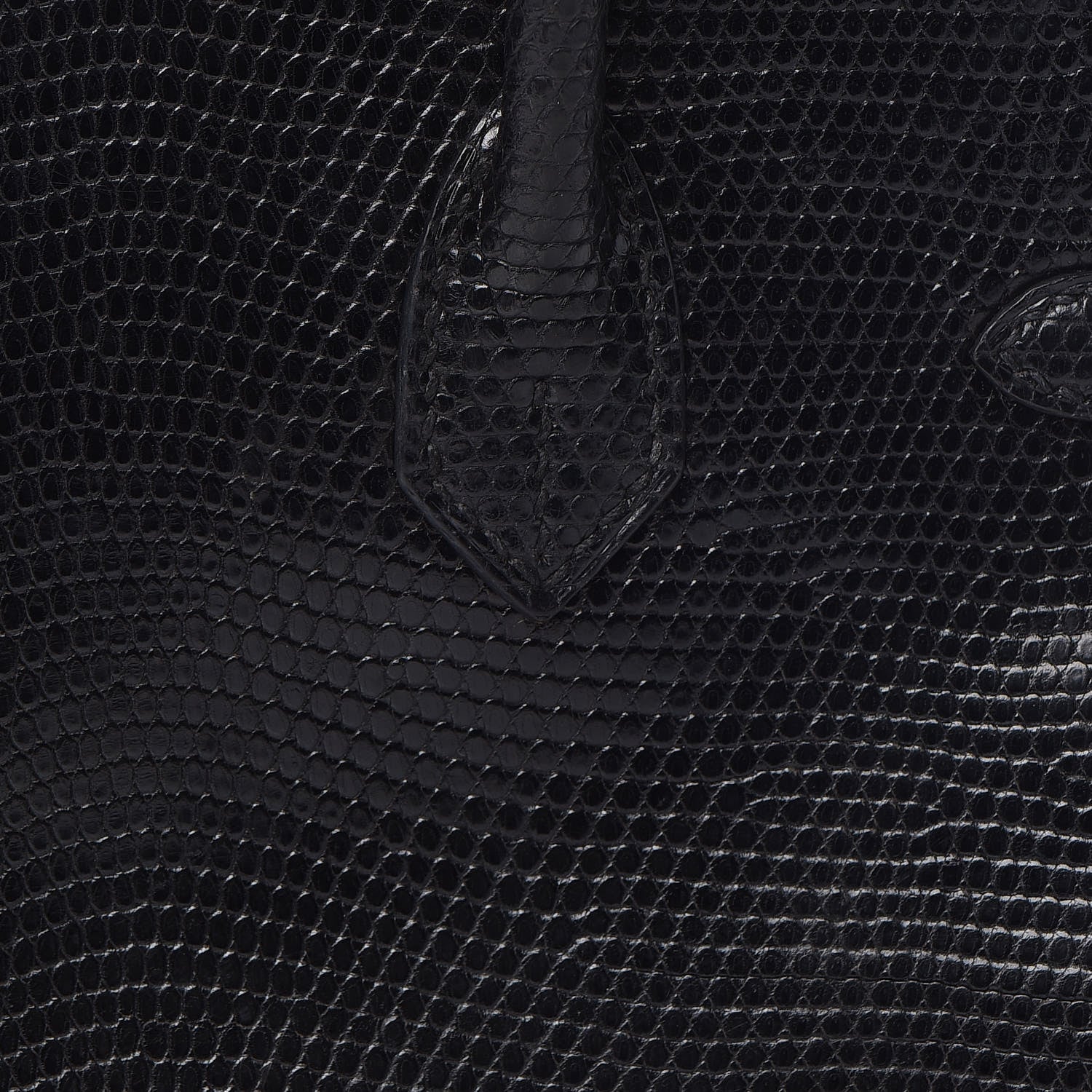 Hermes Lizard Birkin 25 Black 17 of 50