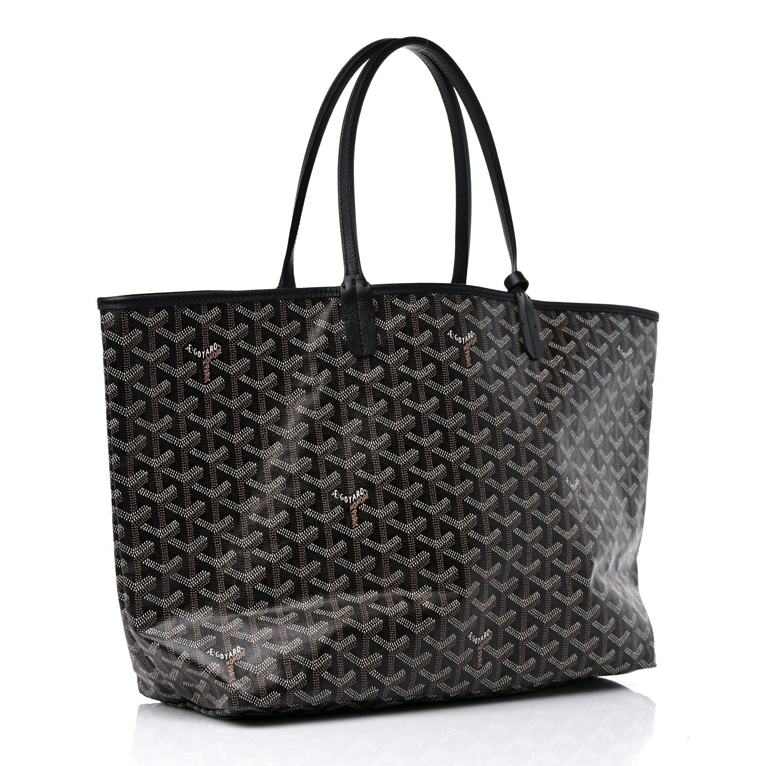 Goyard Goyardine Saint Louis PM Black 3 of 10
