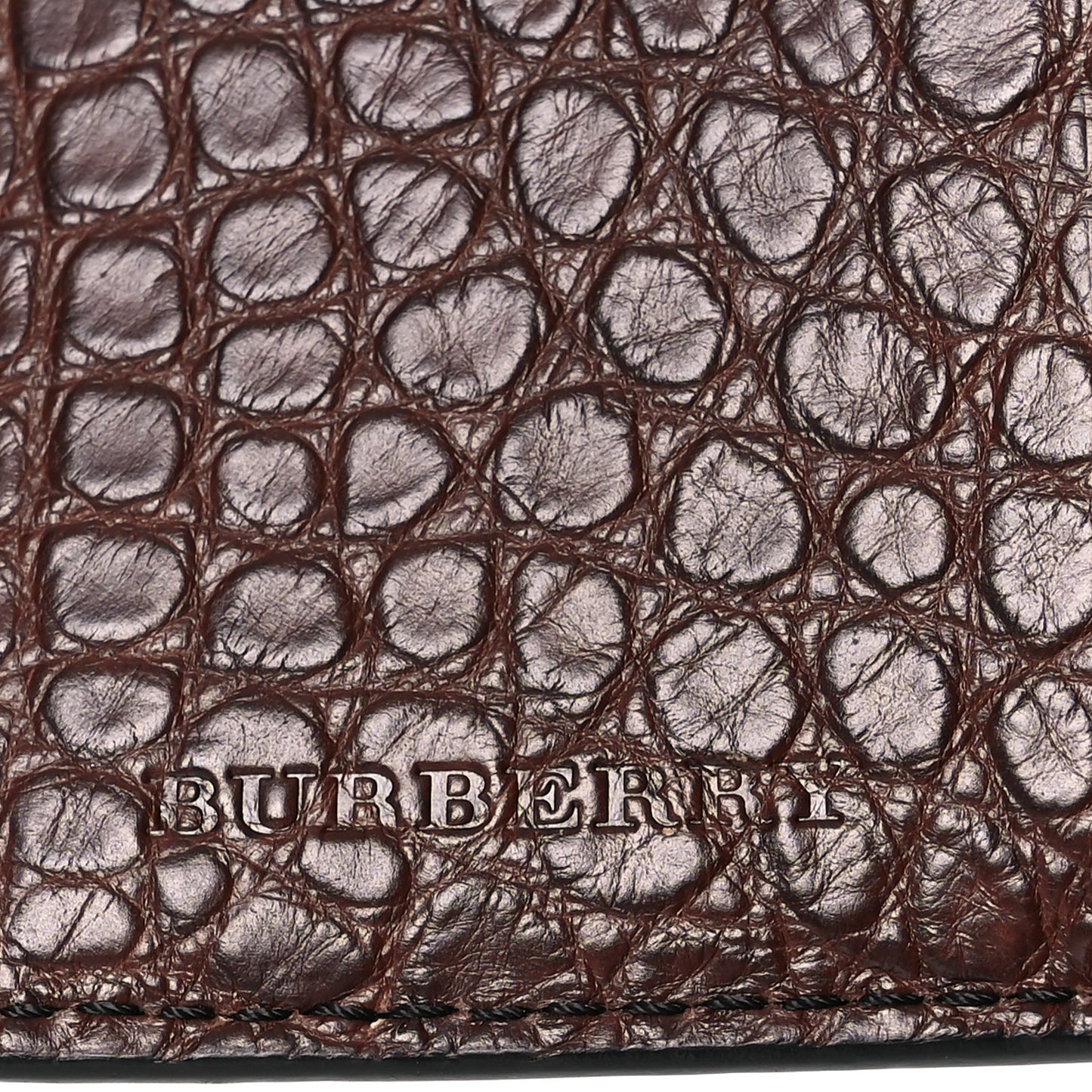 Alligator Passport Holder Brown