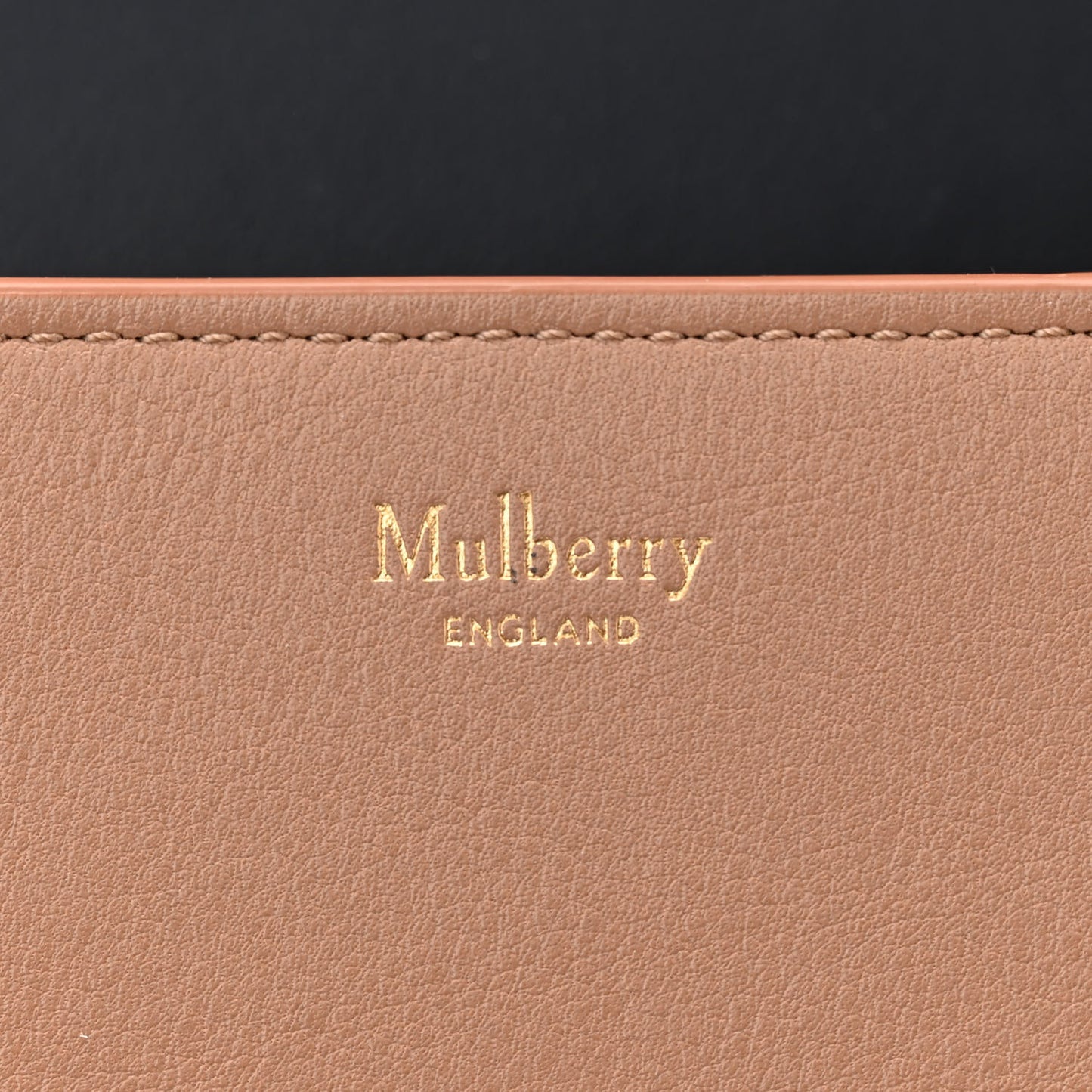 Silky Calfskin Webbing Strap Small Darley Satchel Light Salmon
