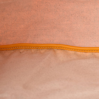 Goyard Goyardine Saint Louis PM Yellow 9 of 12
