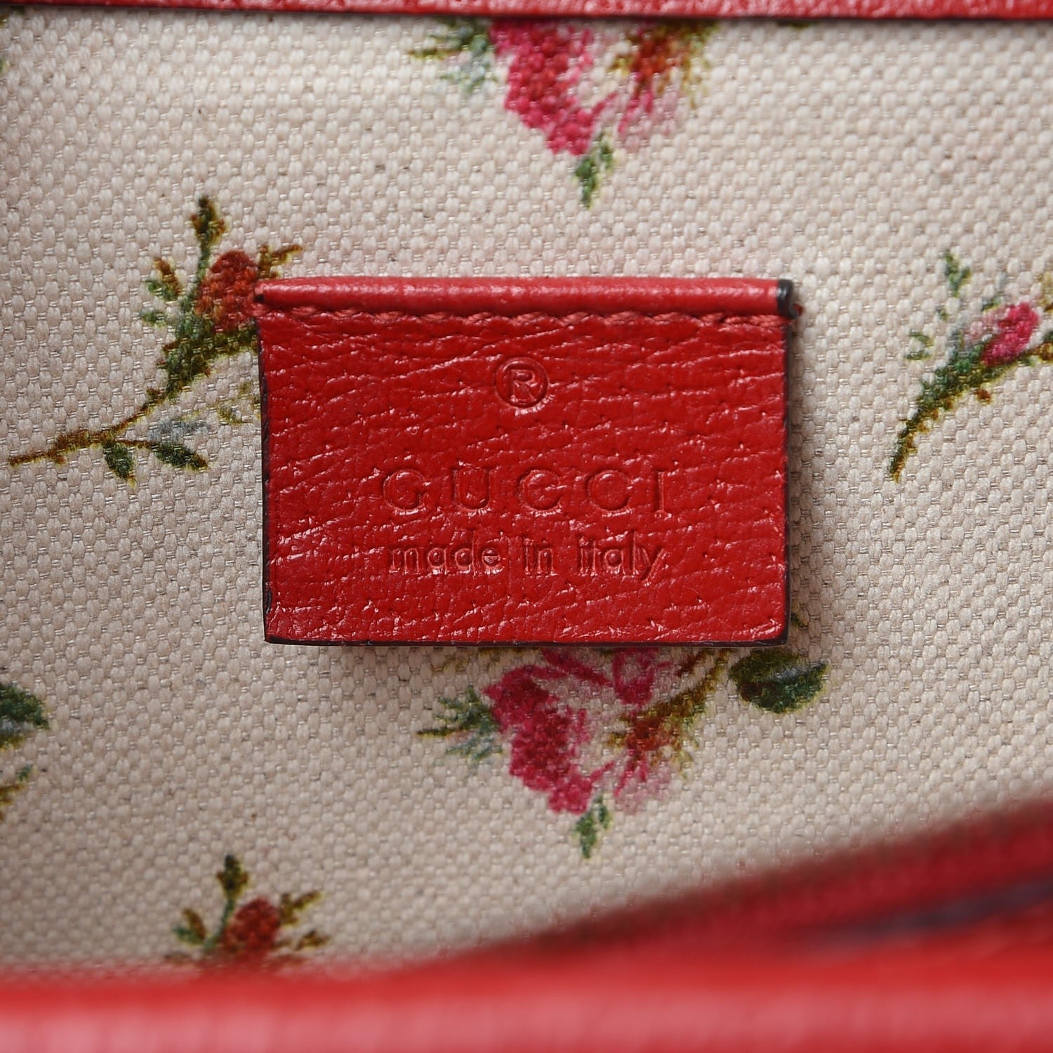 Gucci Textured Calfskin Web Medium Dionysus Shoulder Bag Hibiscus Red 6 of 18