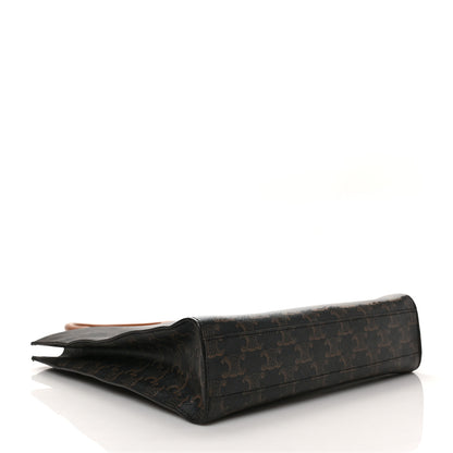 Celine Triomphe Canvas Calfskin Small Vertical Cabas Tan 4 of 7