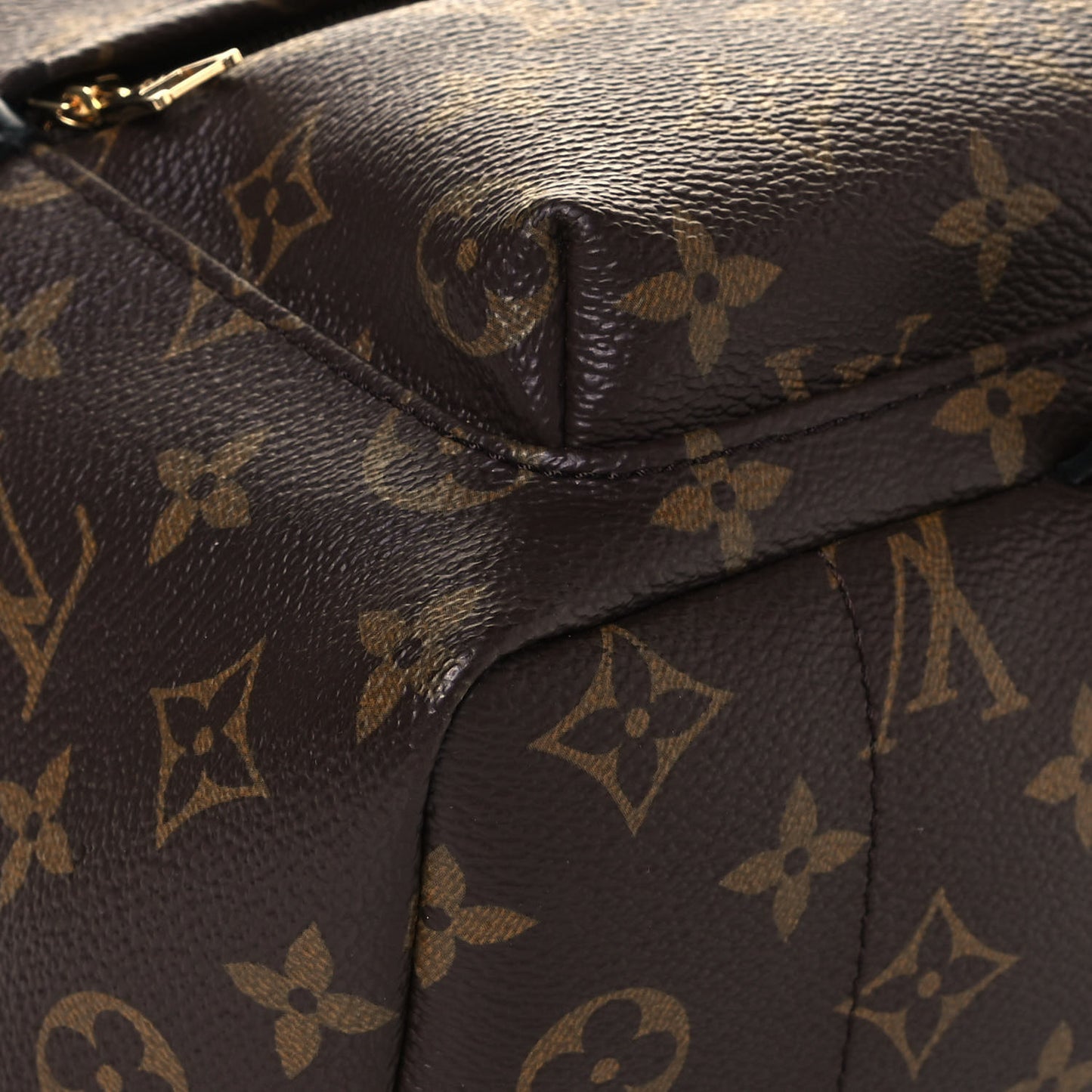 Monogram Palm Springs Backpack PM