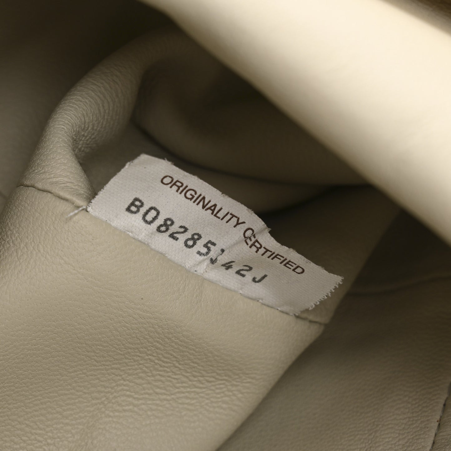 Metallic Crinkled Lambskin The Pouch Oversized Clutch Oro