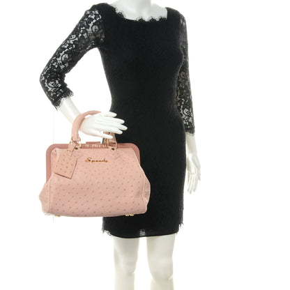 Louis Vuitton Ostrich Frame Speedy Pink 2 of 7