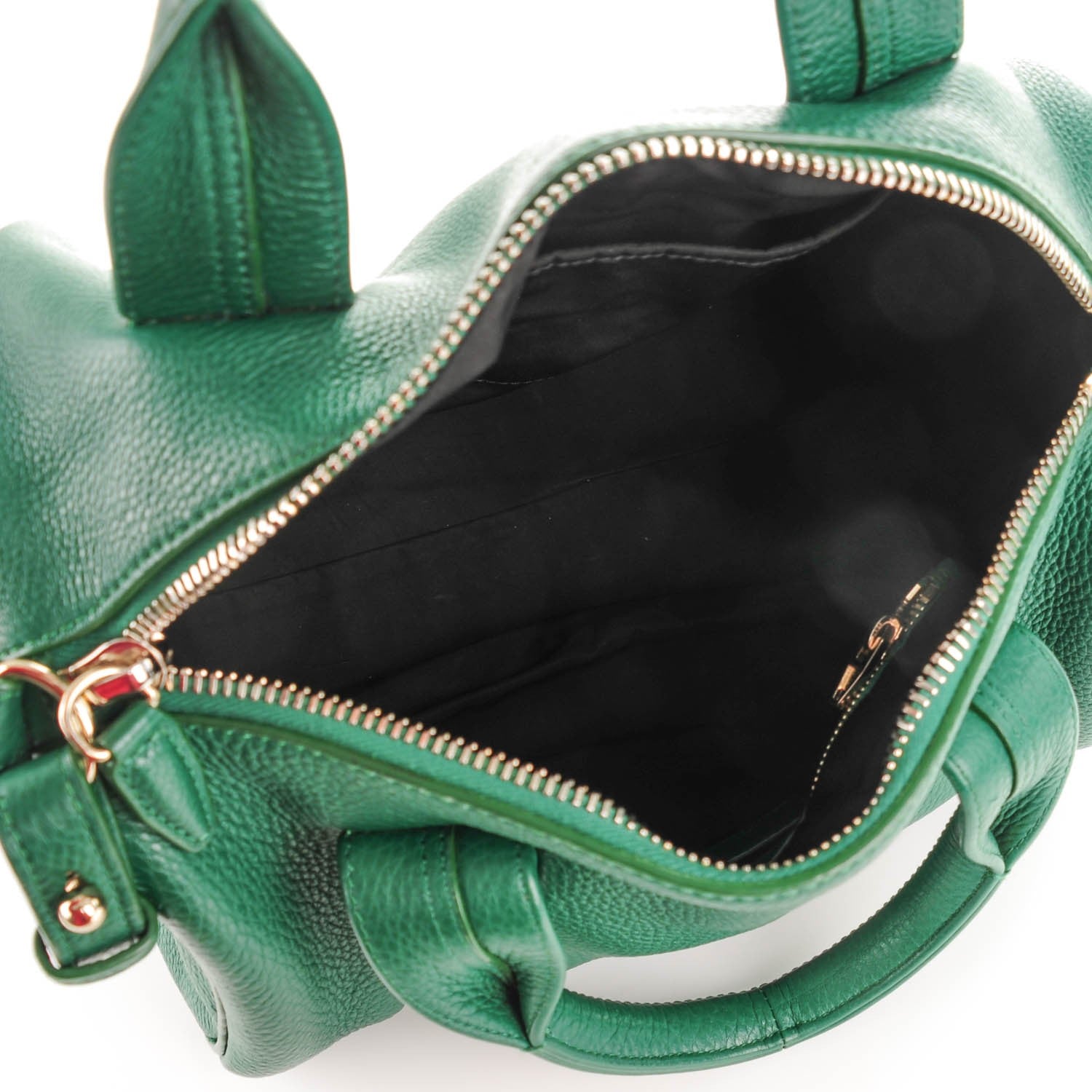 Alexander Wang Pebbled Lambskin Rocco Vine Gold Hardware 5 of 7