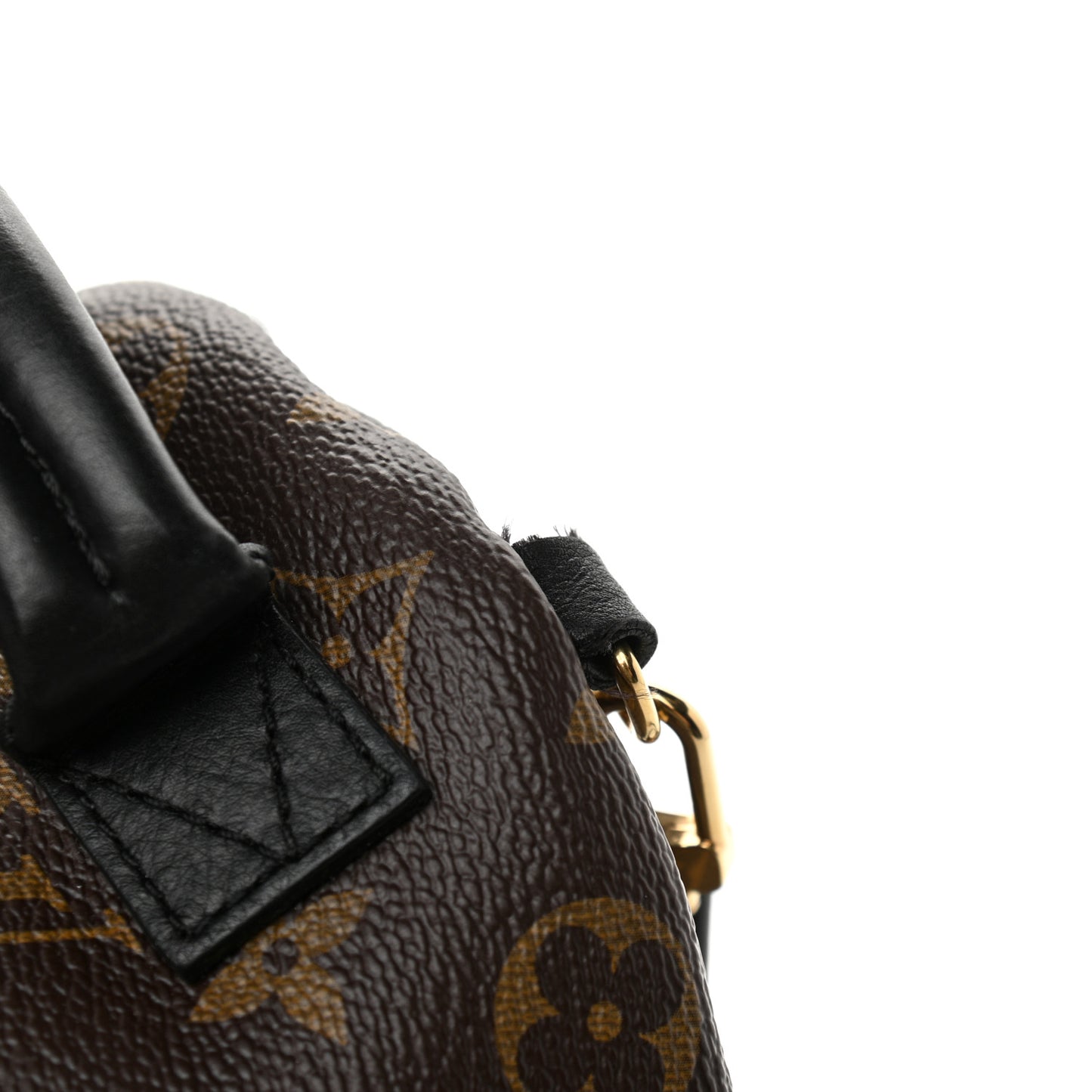 Monogram Palm Springs Backpack Mini