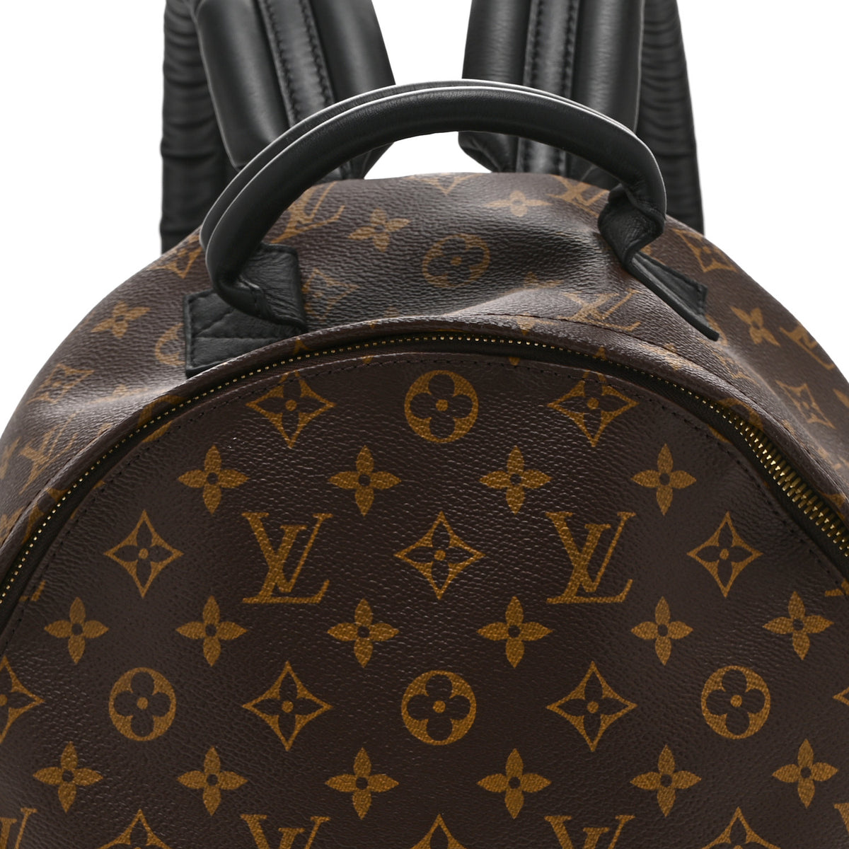 Monogram Palm Springs Backpack MM