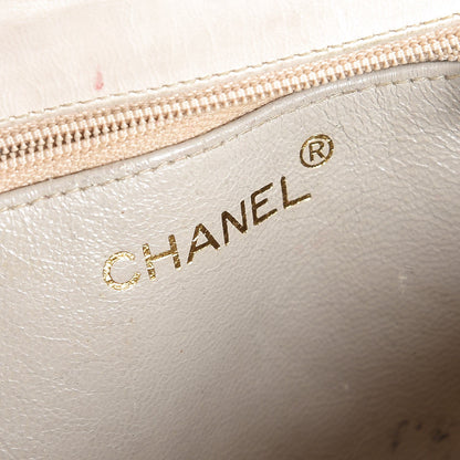 Chanel Lizard Tassel Flap Bag Light Brown 6 of 17