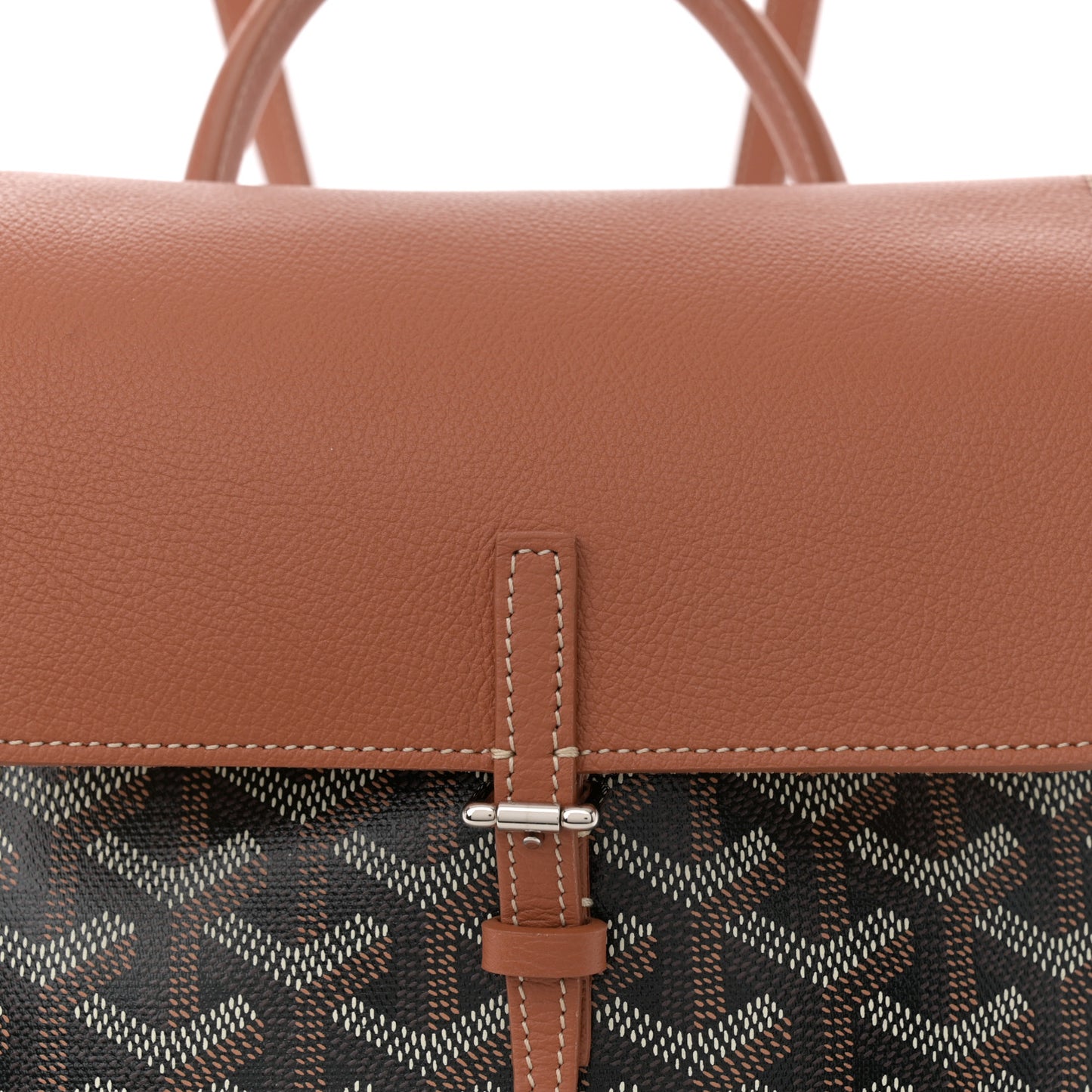Goyardine Calfskin Mini Alpin Backpack Black Gold