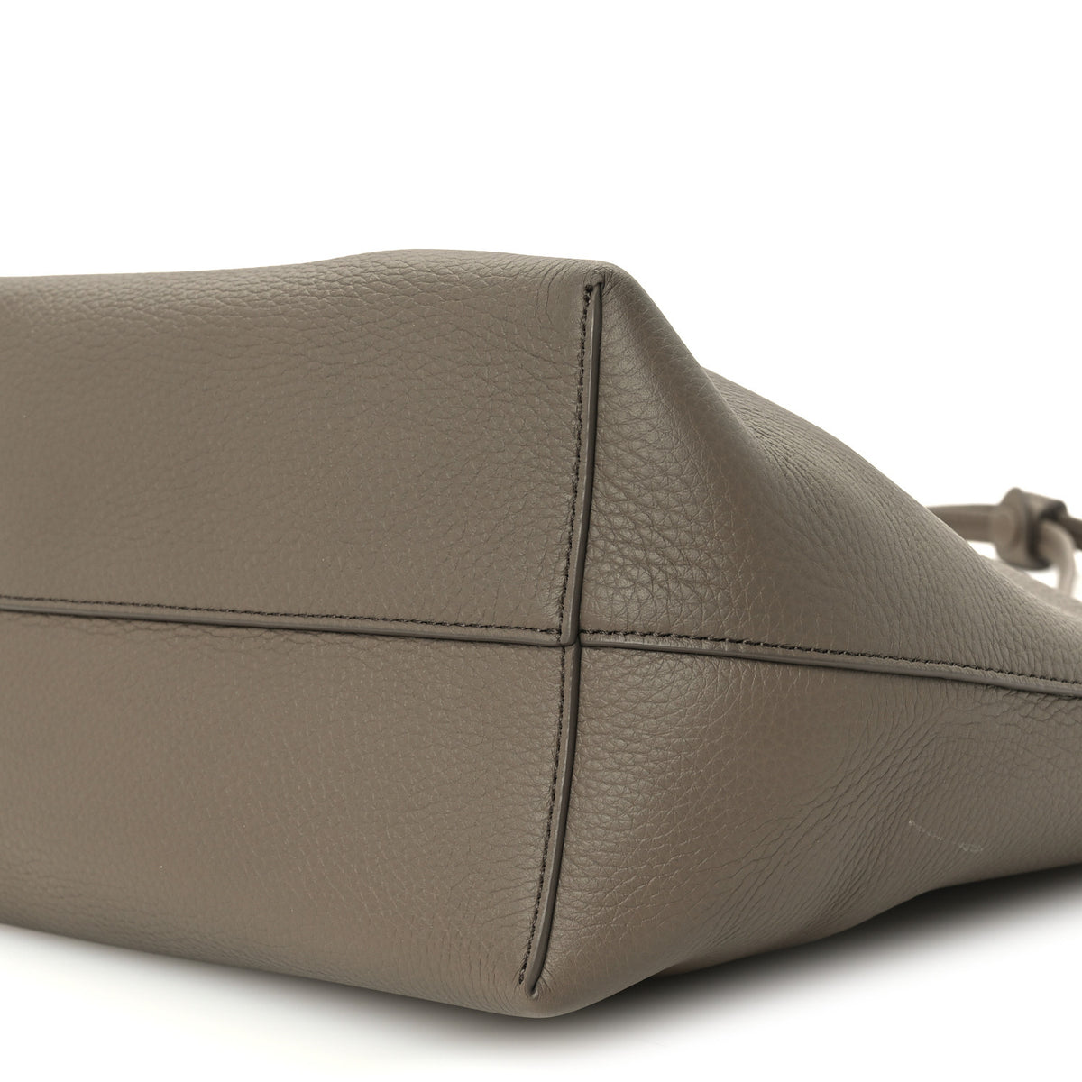 Grained Calfskin Medium Park Tote Elephant