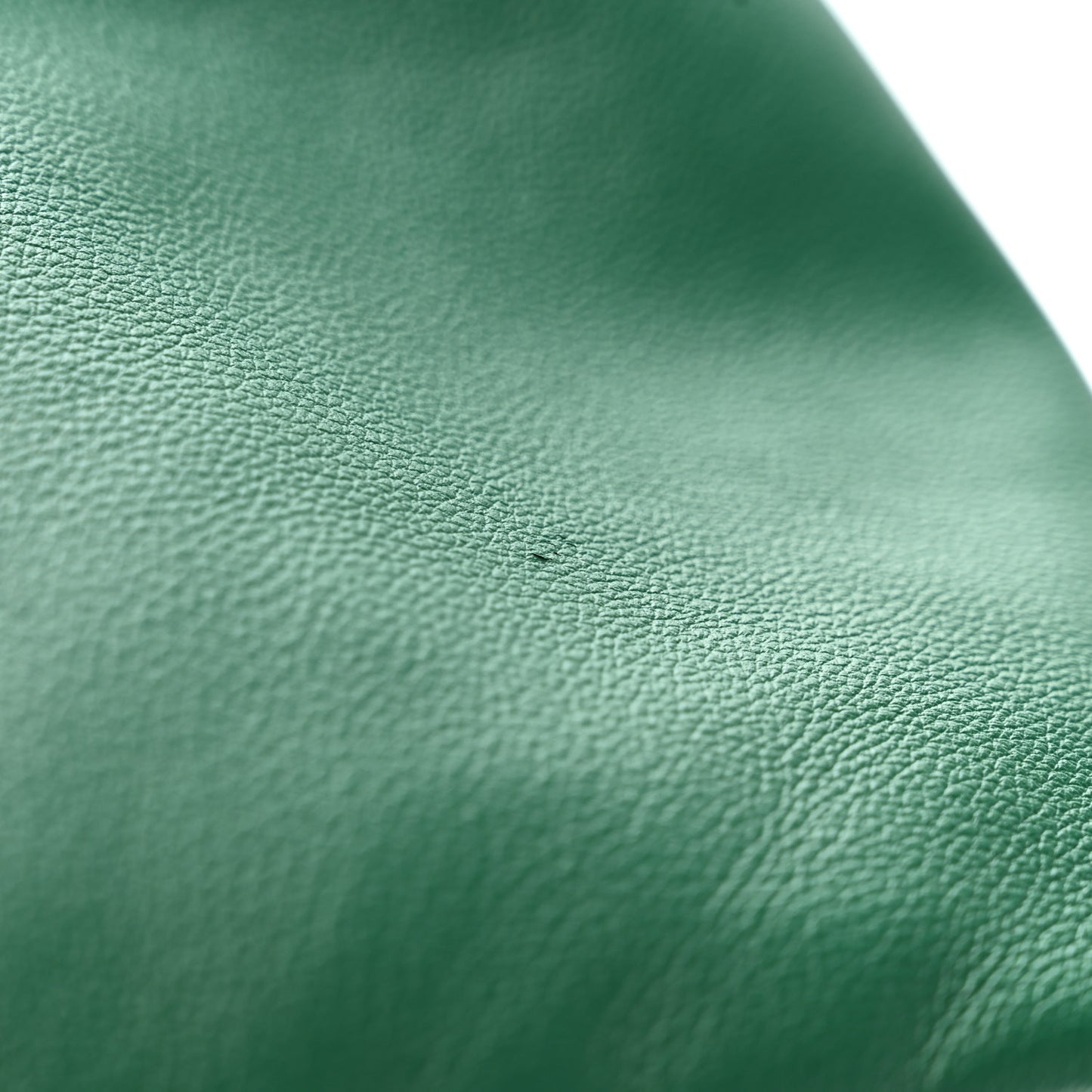 Goyardine Reversible Mini Anjou Green