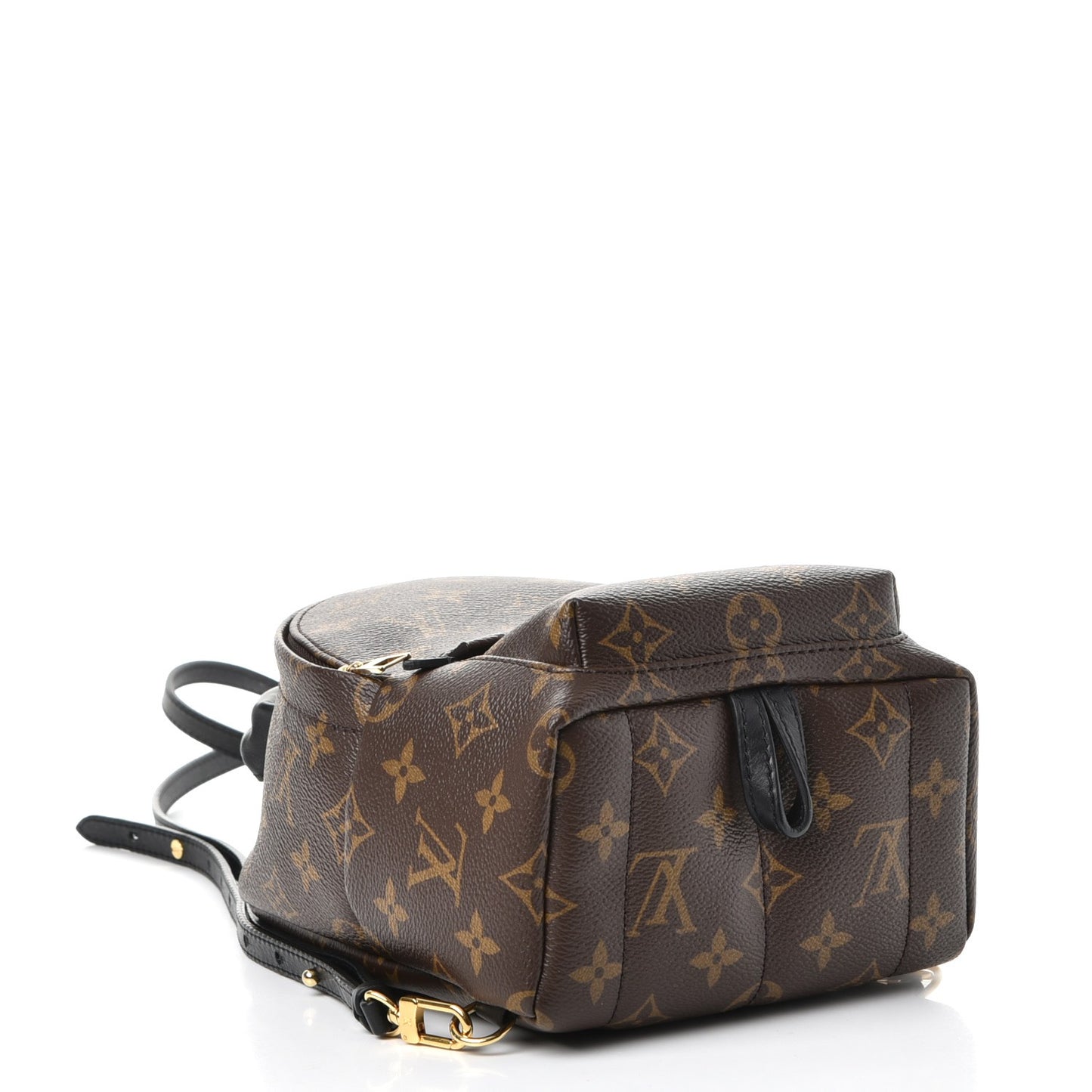 Monogram Palm Springs Backpack Mini