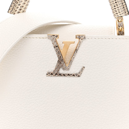 Louis Vuitton Taurillon Ayers Capucines Mini White Snow White 9 of 10