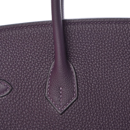 Hermes Togo Birkin 25 Raisin 16 of 34