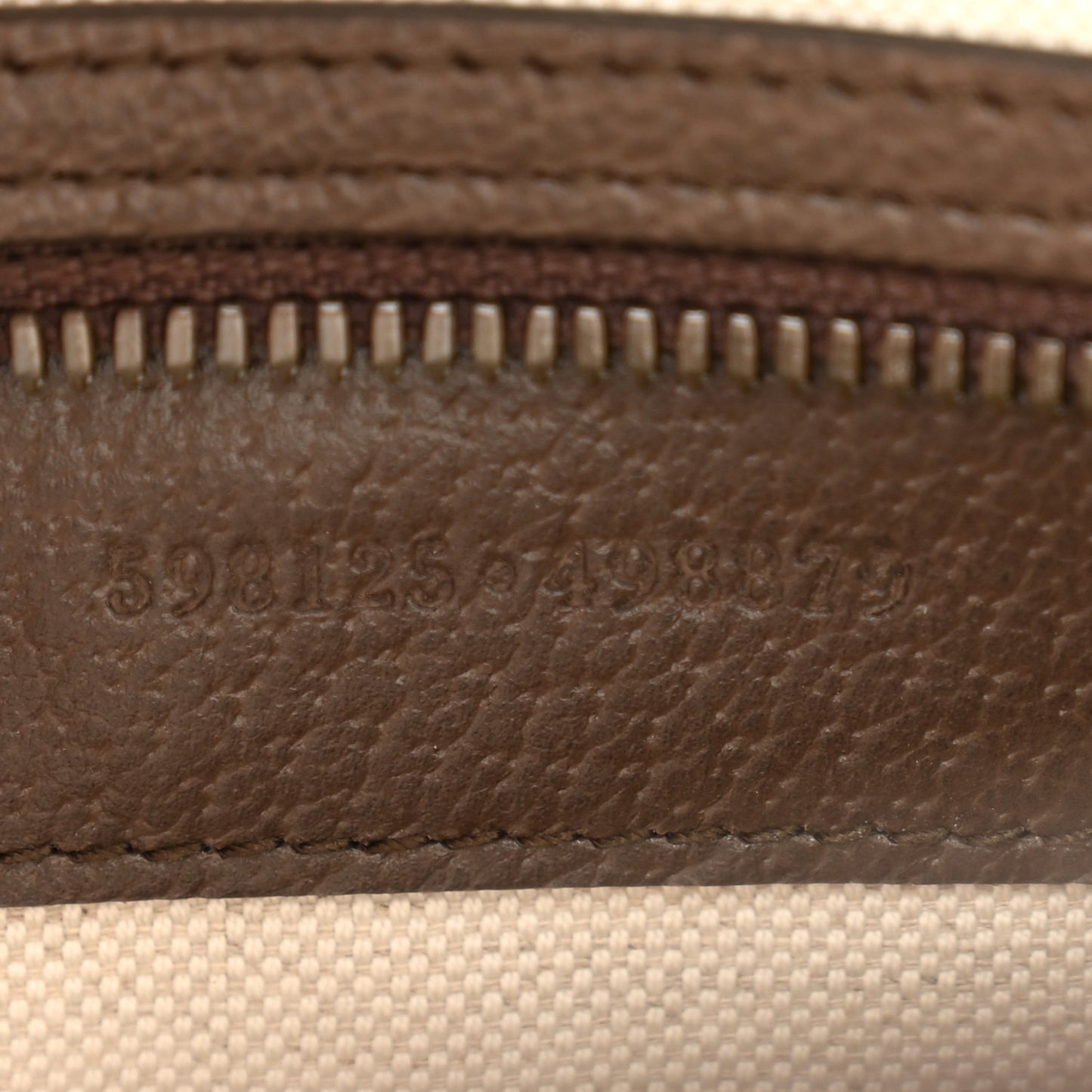 GG Supreme Monogram Web Small Ophidia Half Moon Hobo Brown