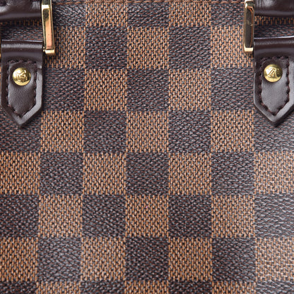 Louis Vuitton Damier Ebene Ribera Mini 8 of 11