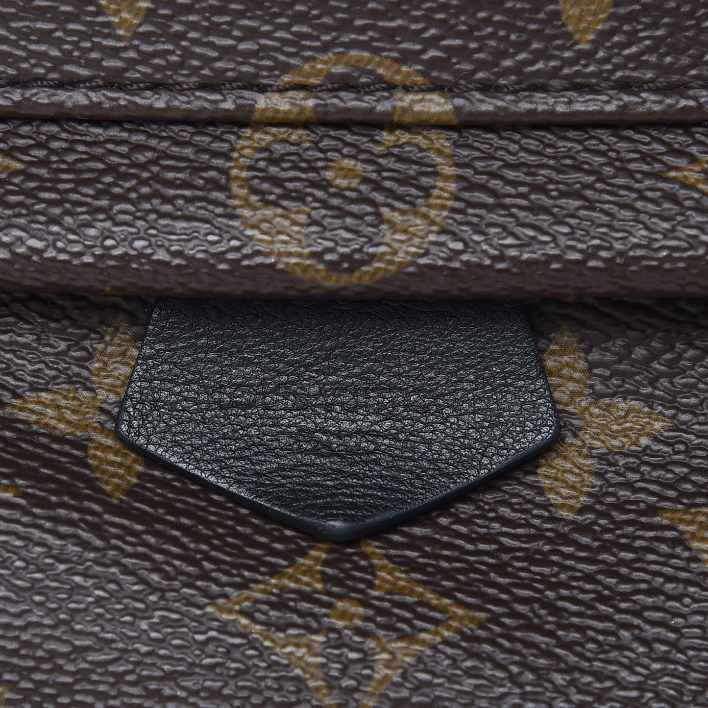 Monogram Palm Springs Backpack Mini