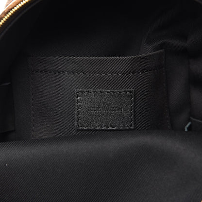 Louis Vuitton Reverse Monogram Palm Springs Backpack Mini 6 of 11