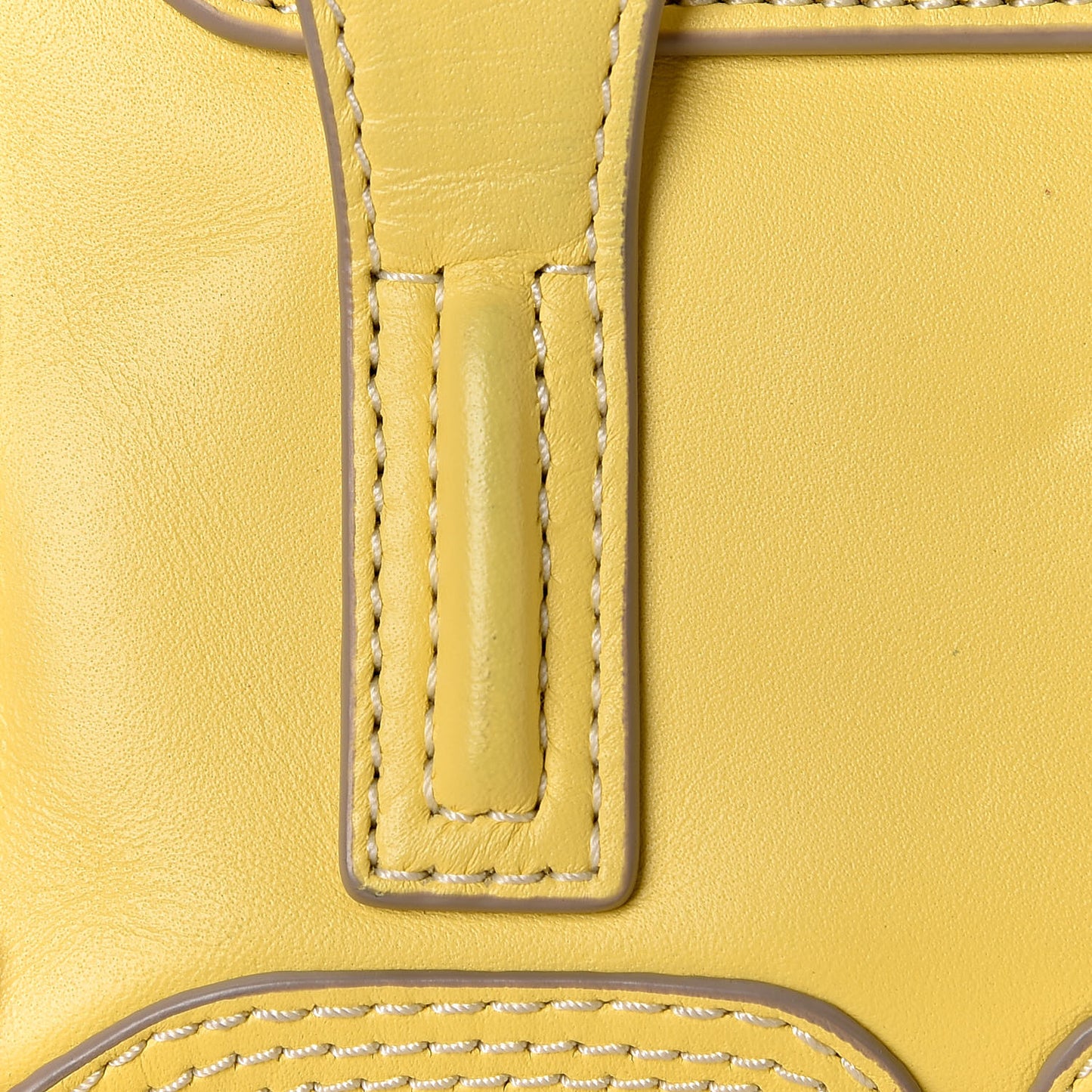 3.1 Smooth Calfskin Nano Pashli Satchel Pineapple