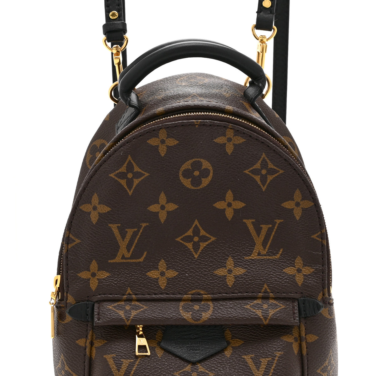 Monogram Palm Springs Backpack Mini