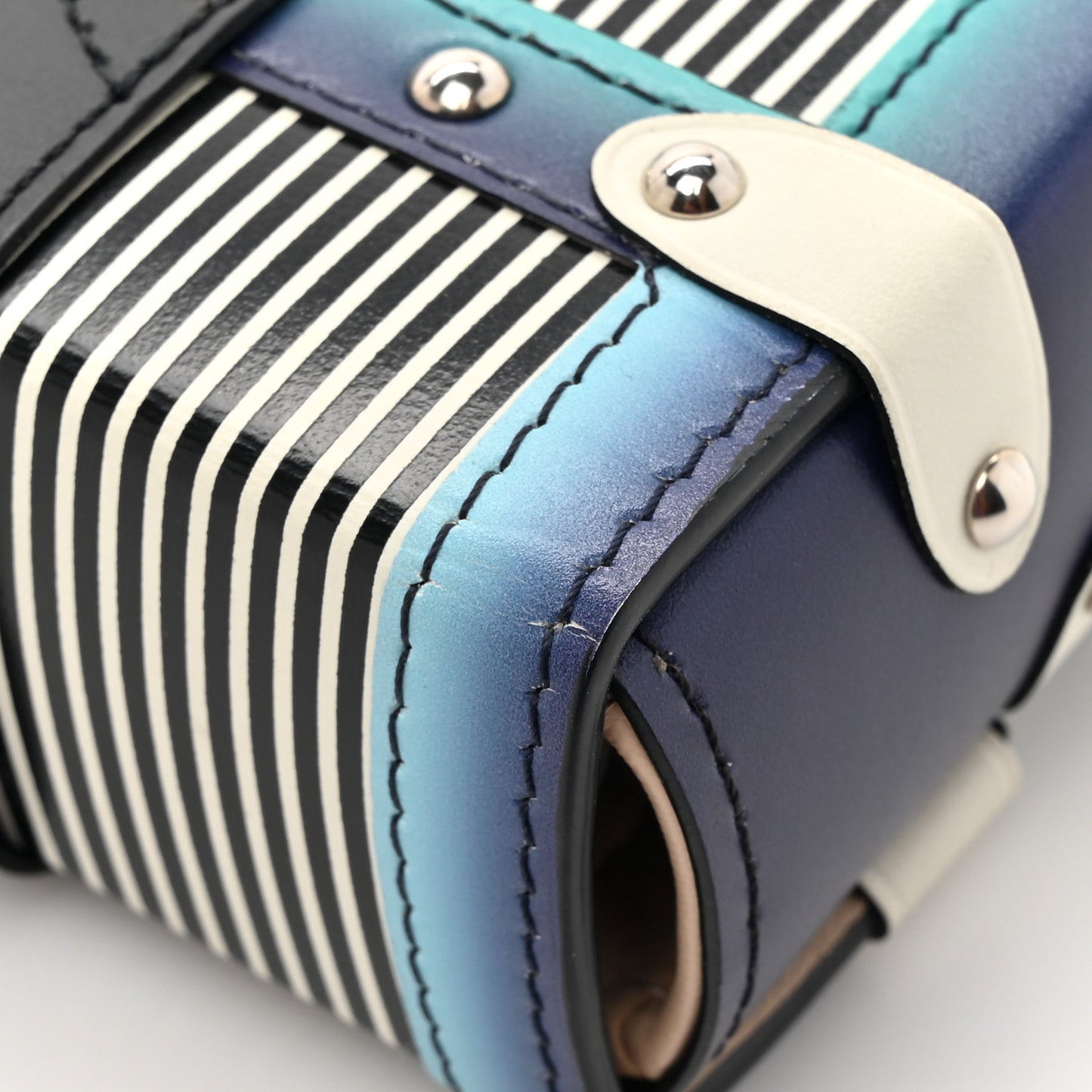 Calfskin Printed Essential Trunk Blue