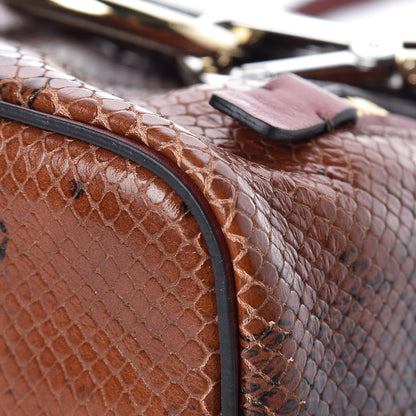 Chloe Calfskin Watersnake Embossed Mini Faye Backpack Sepia Brown 11 of 14