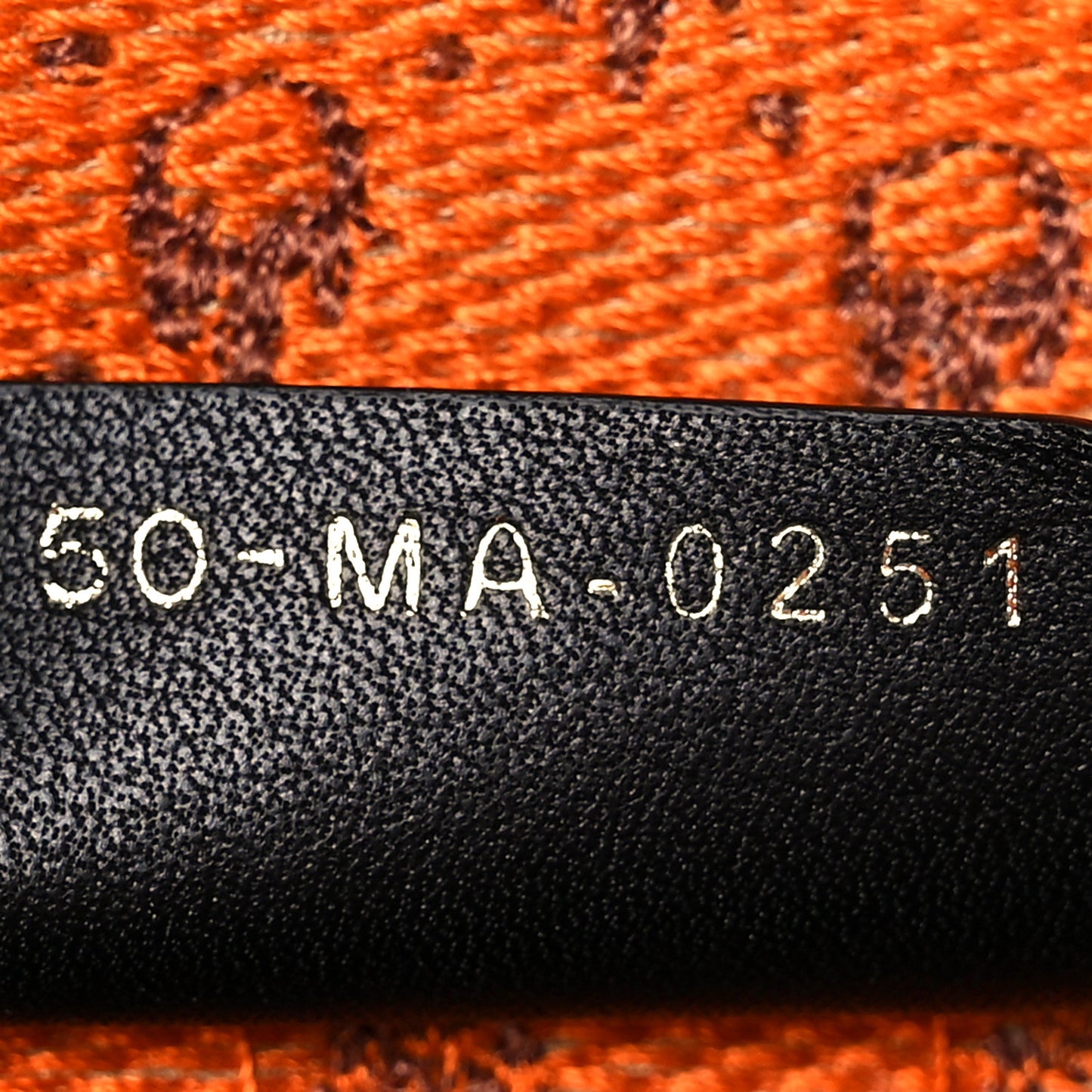 Canvas Embroidered Medium Dino Book Tote Orange Multicolor