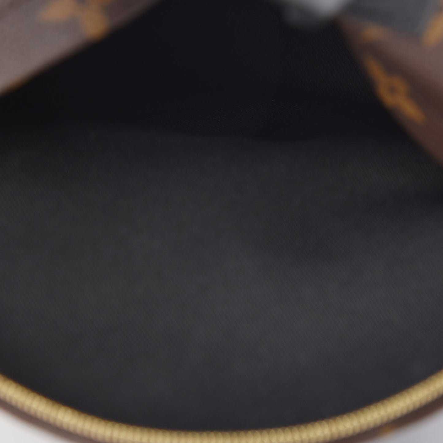 Monogram Palm Springs Backpack Mini