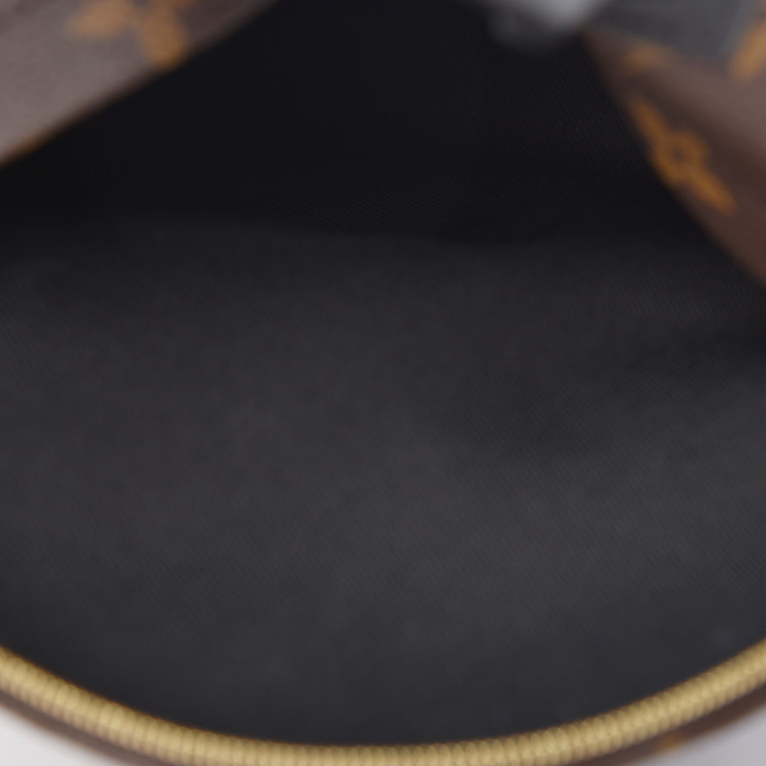 Louis Vuitton Monogram Palm Springs Backpack Mini 5 of 10