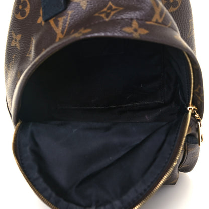 Louis Vuitton Monogram Palm Springs Backpack Mini 5 of 13