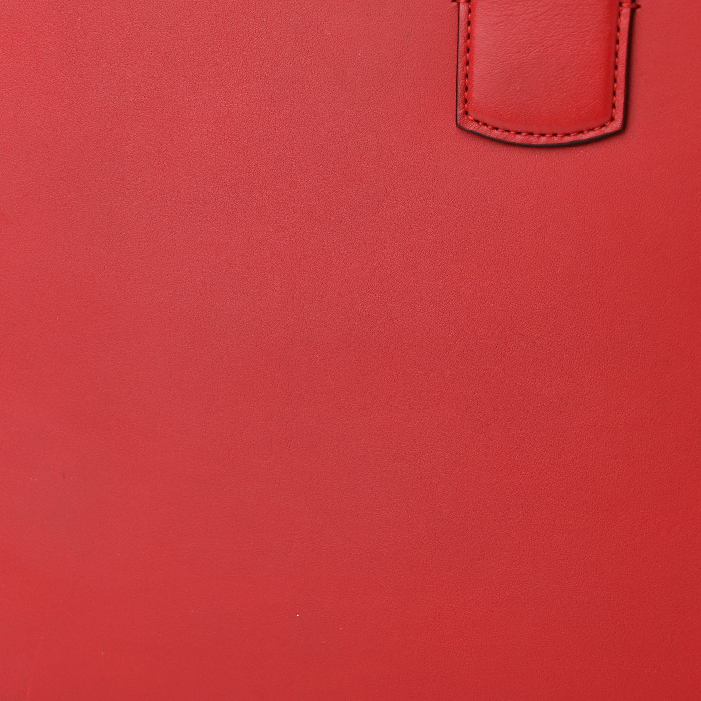 Moon Calfskin Web Large Dionysus Bamboo Top Handle Bag Hibiscus Red
