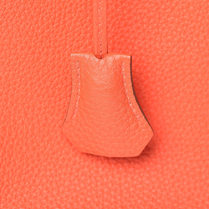 Hermes Togo Birkin 30 Capucine 29 of 35