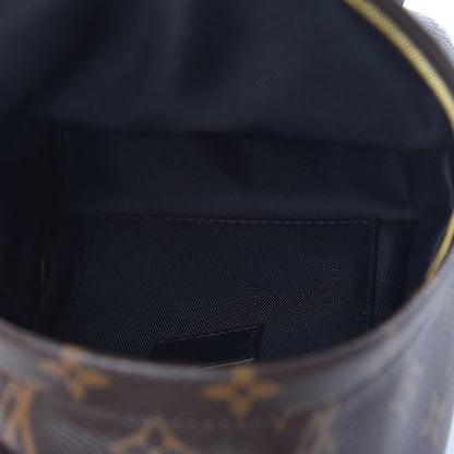 Louis Vuitton Monogram Palm Springs Backpack Mini 5 of 11